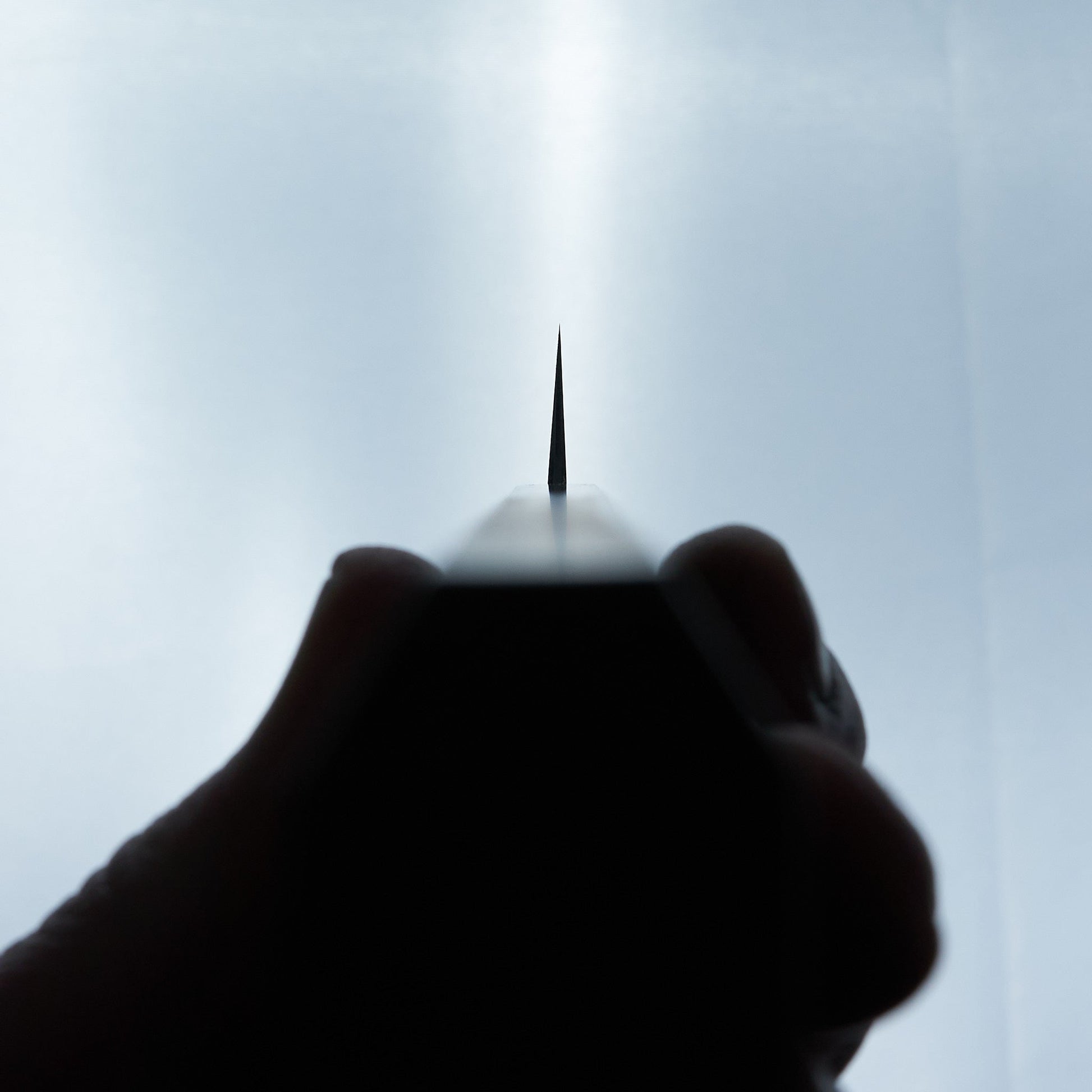 Tetsujin Blue #2 Kasumi Kiritsuke Sujihiki 240mm Ho Wood Handle